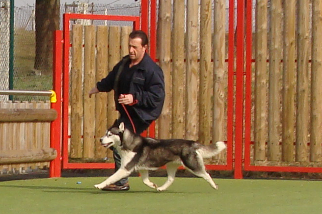 Publication : Of Cool Water Auteur : D uselmann