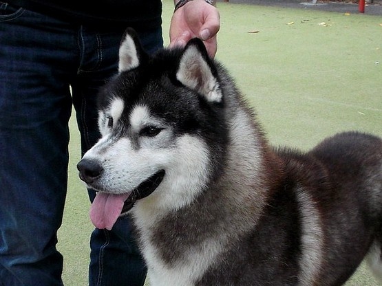 Café noir Of Cool Water