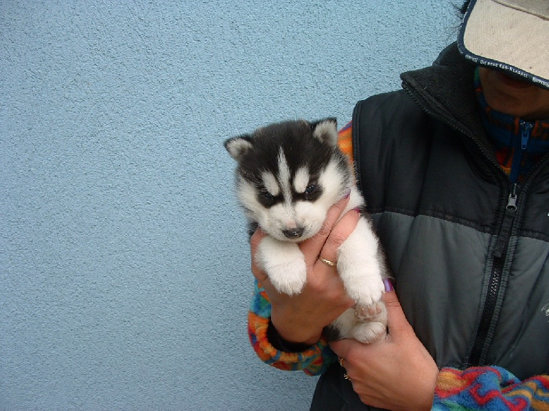 Publication : Of Cool Water Auteur : D uselmann