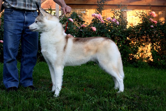 Forever Of Cool Water