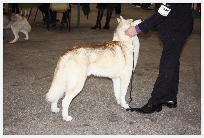 Forever Of Cool Water