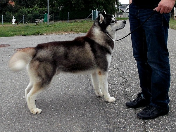 Café noir Of Cool Water