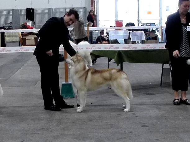 Forever Of Cool Water