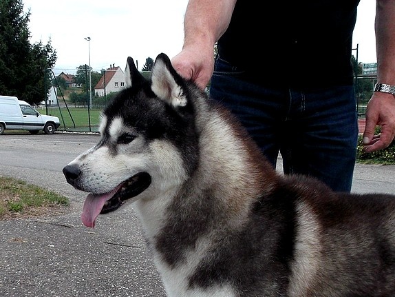 Café noir Of Cool Water