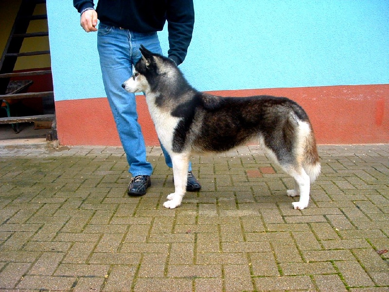 Publication : Of Cool Water Auteur : D uselmann