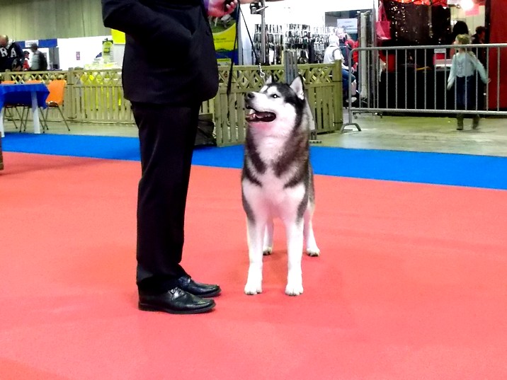 Café noir Of Cool Water