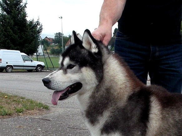 Café noir Of Cool Water