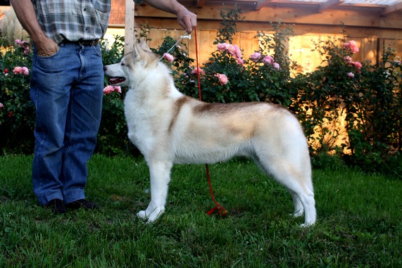 Forever Of Cool Water