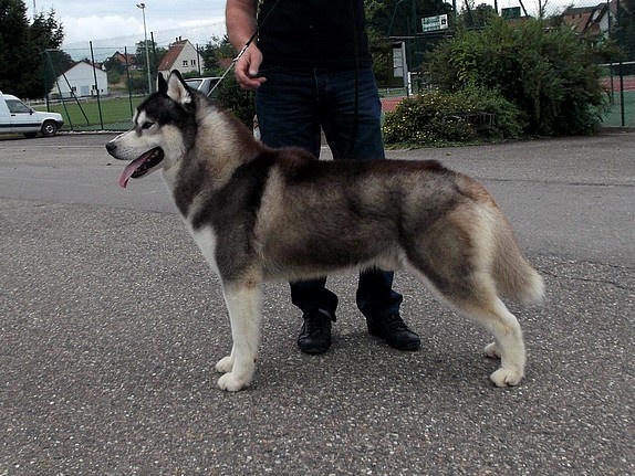 Café noir Of Cool Water