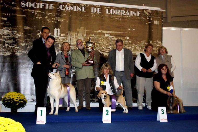 Forever Of Cool Water