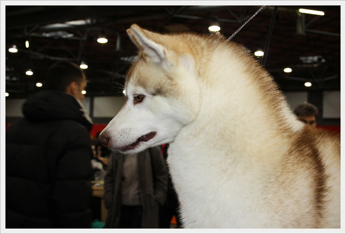 Forever Of Cool Water