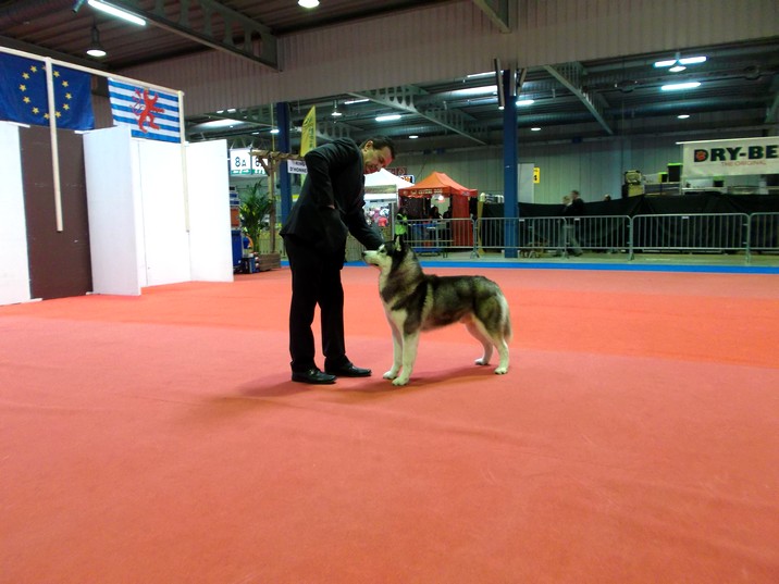 Café noir Of Cool Water