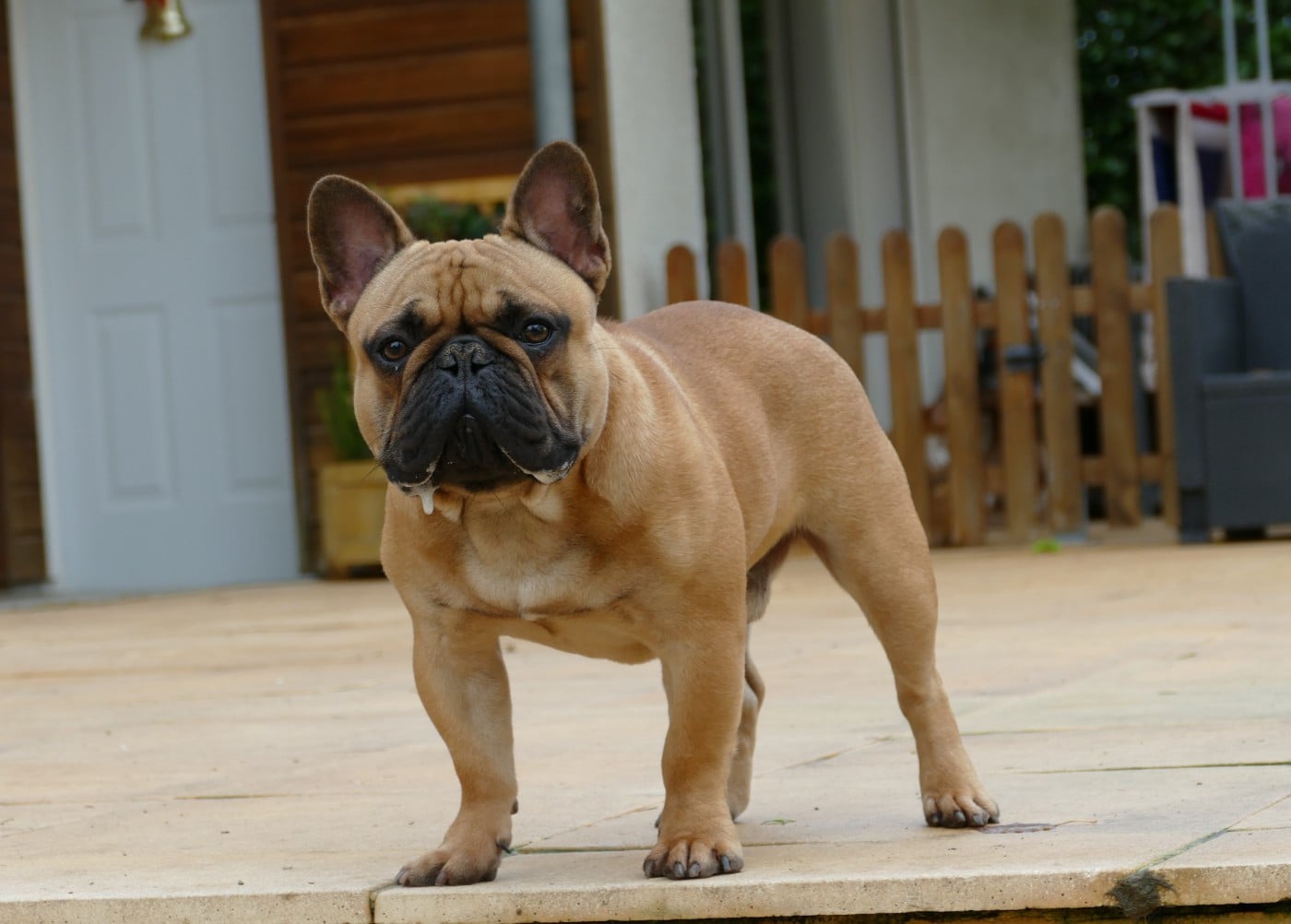 Vidjay Des Roseaux De Nikaya