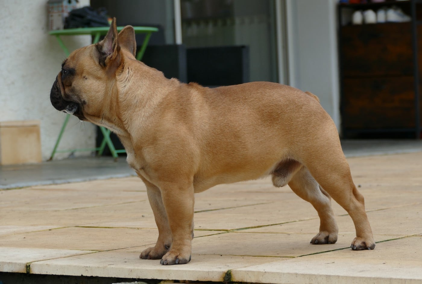 Vidjay Des Roseaux De Nikaya