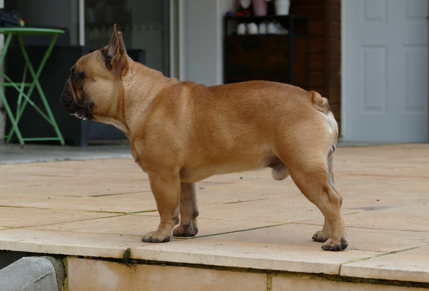 Vidjay Des Roseaux De Nikaya