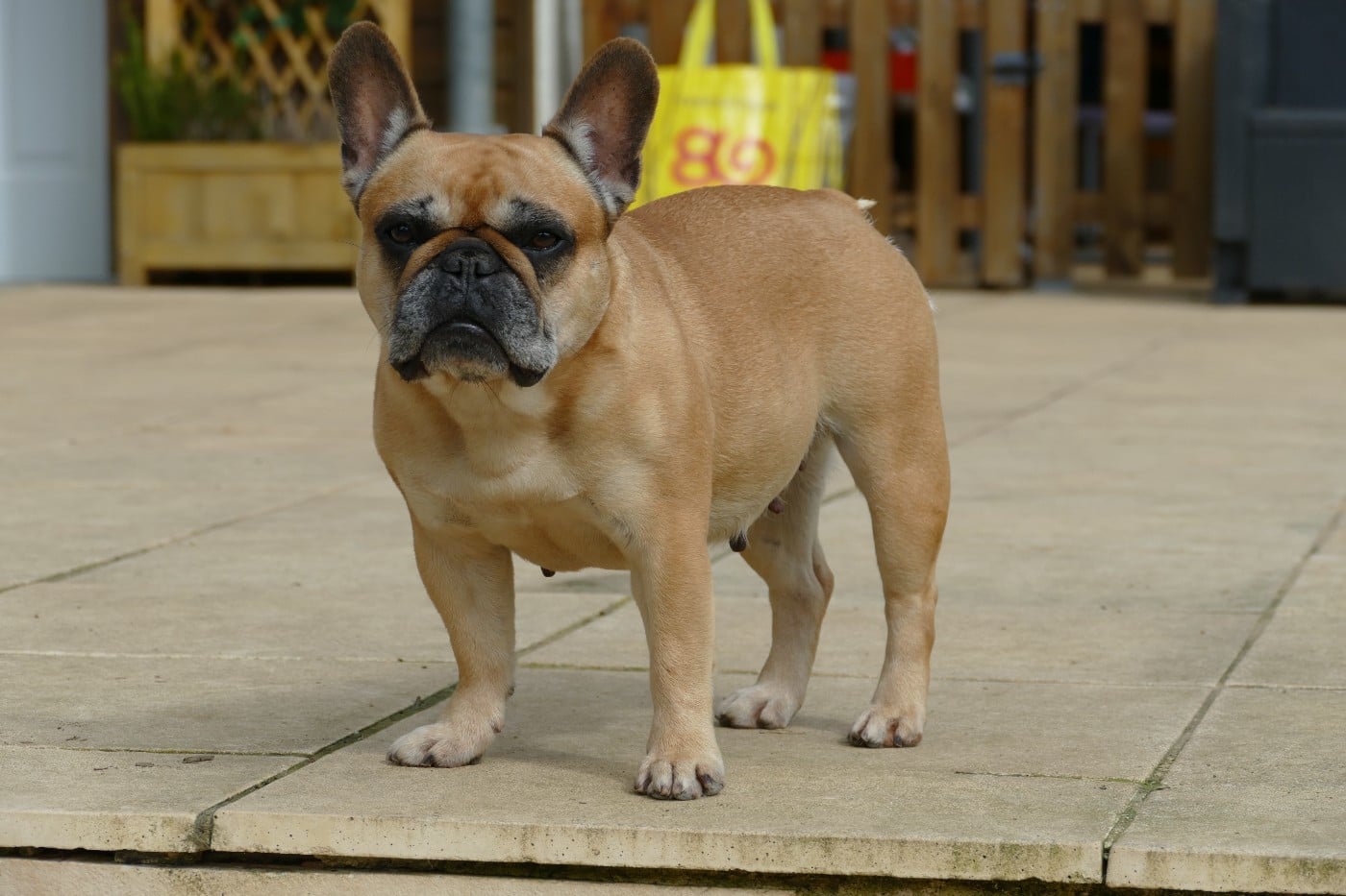 Roumba du Domaine des Bastidiens