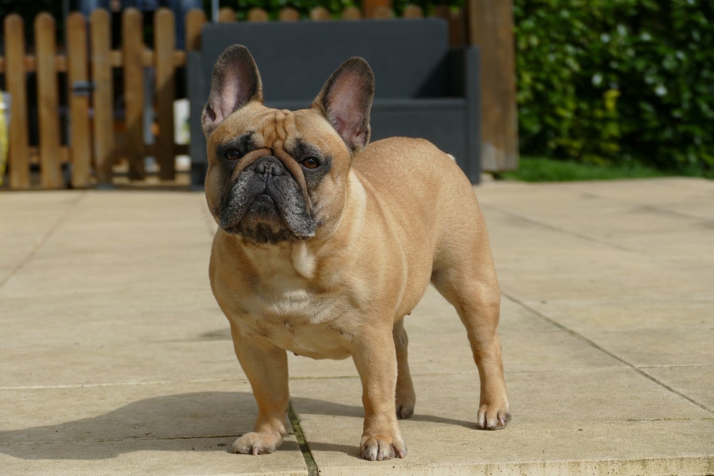 Savanna du Domaine des Bastidiens