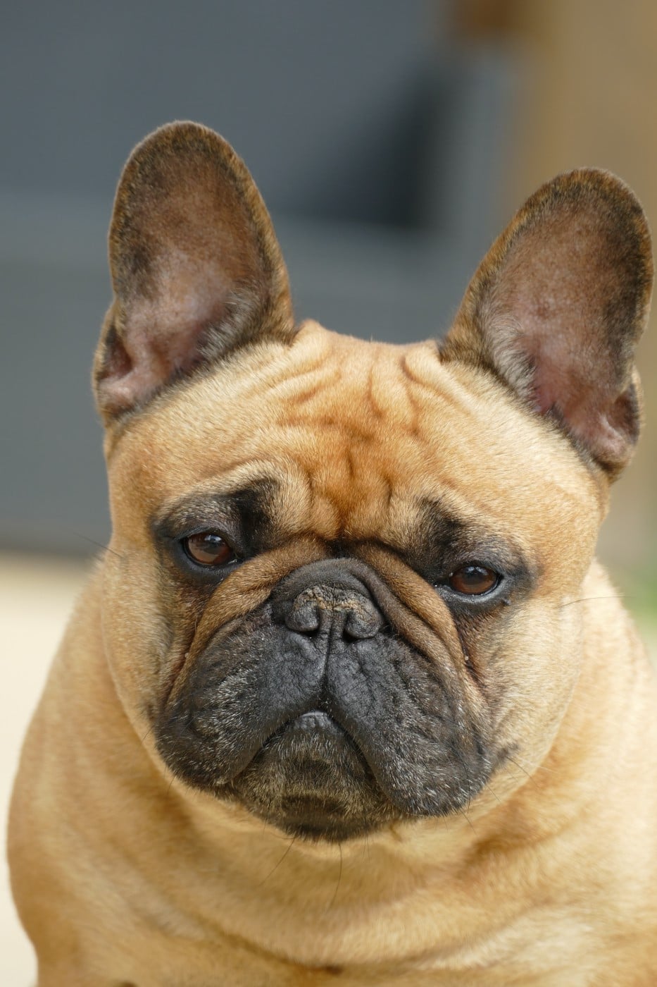 Sephora du Domaine des Bastidiens