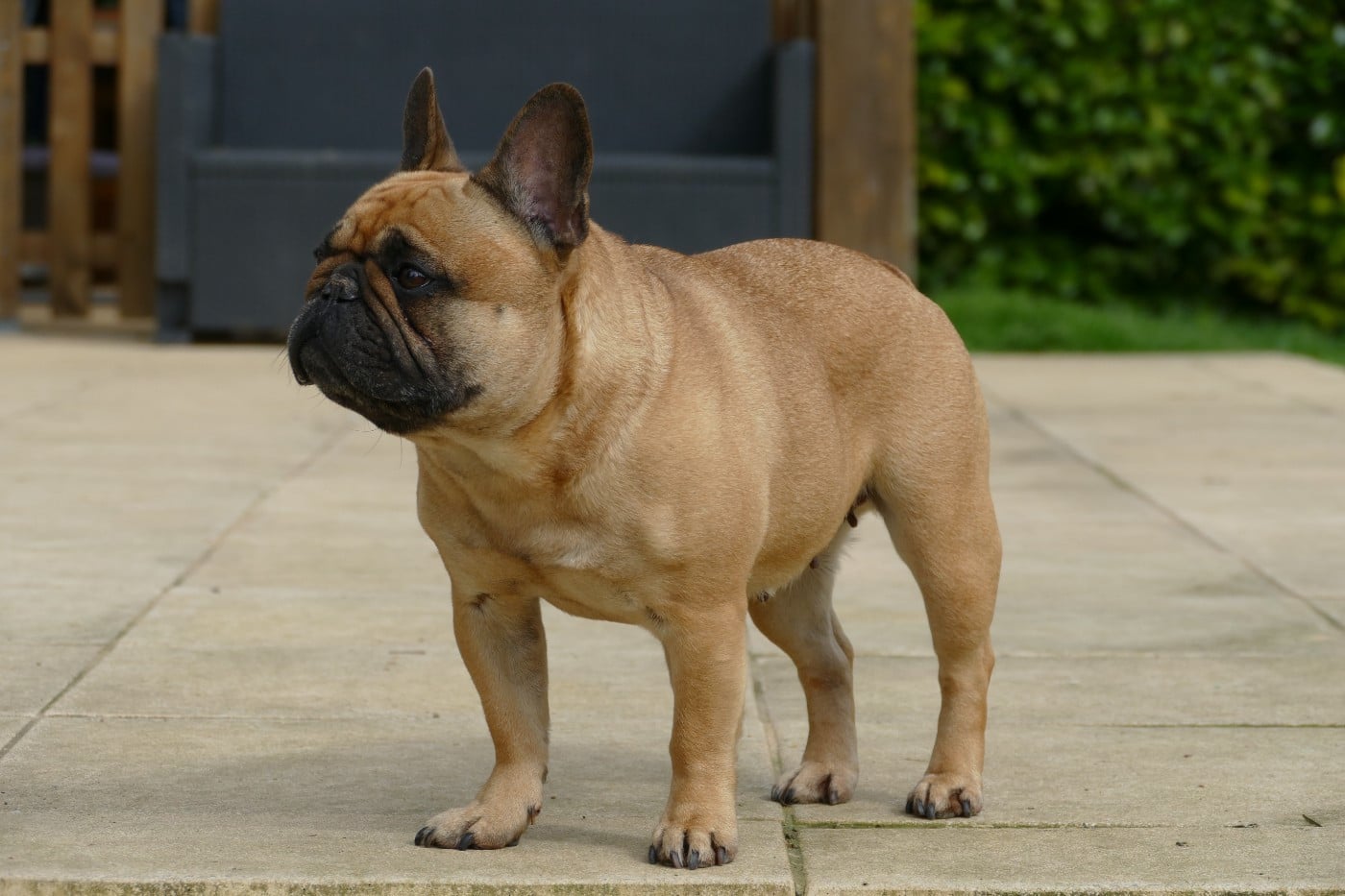 Sephora du Domaine des Bastidiens