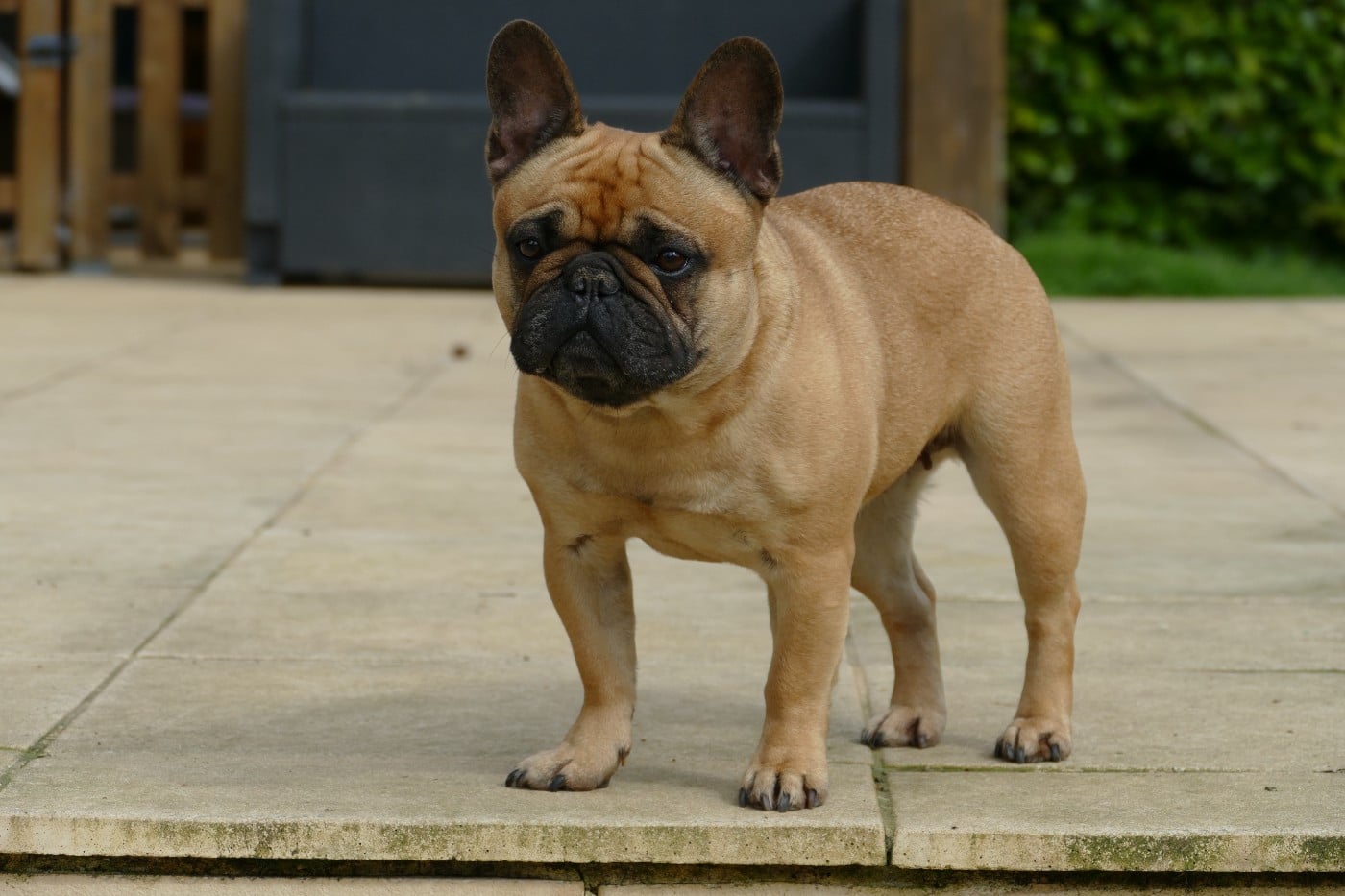 Sephora du Domaine des Bastidiens