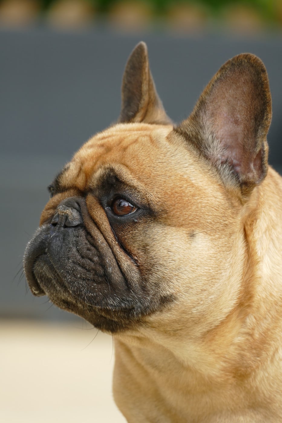 Sephora du Domaine des Bastidiens