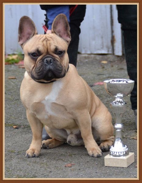 Inky du Domaine des Bastidiens