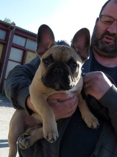 Inky du Domaine des Bastidiens