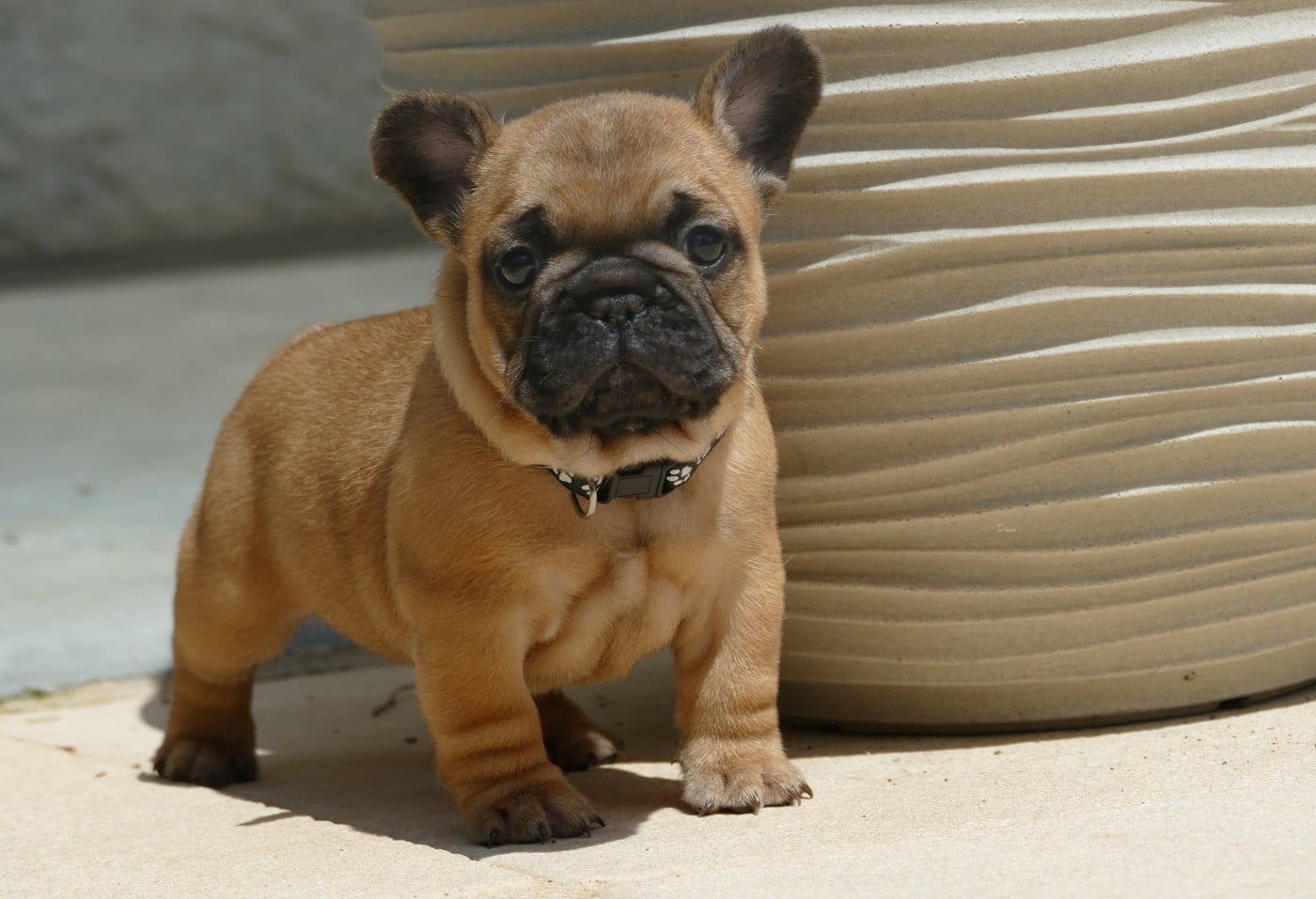 BOUBA-K