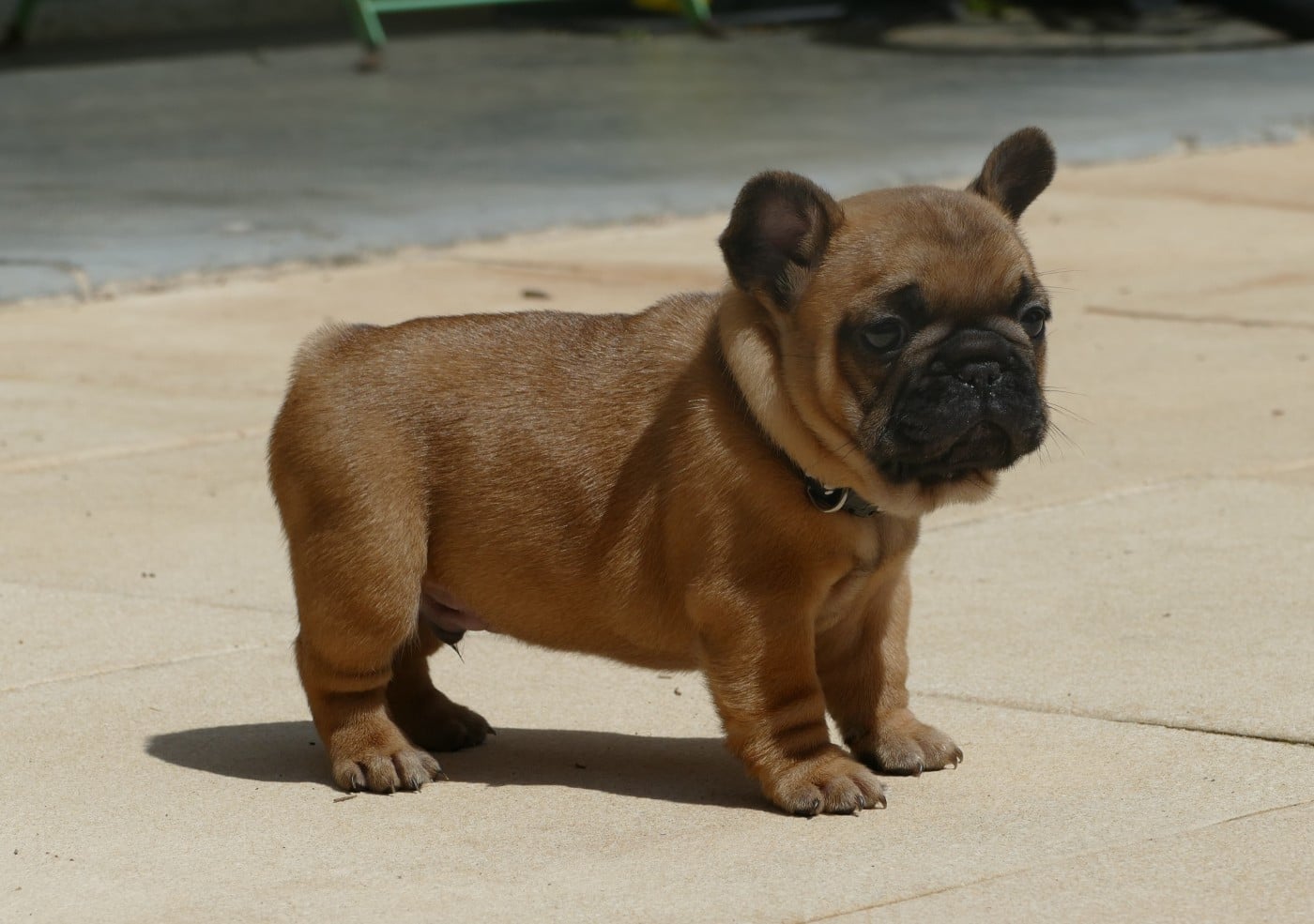 BOUBA-K