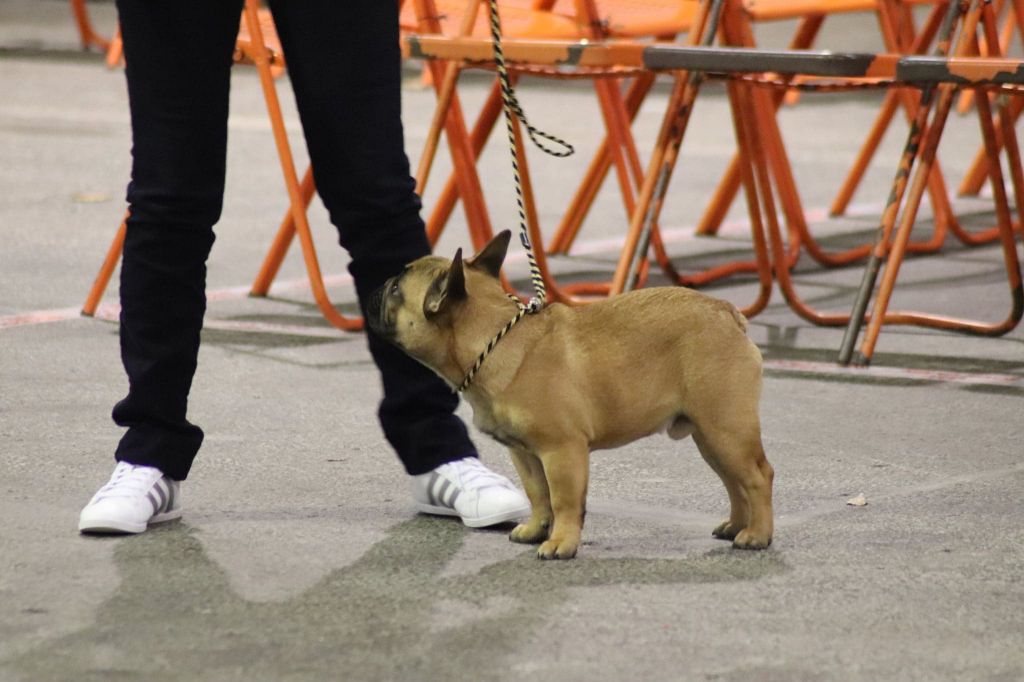 O'maley du Domaine des Bastidiens - Très Prometteur