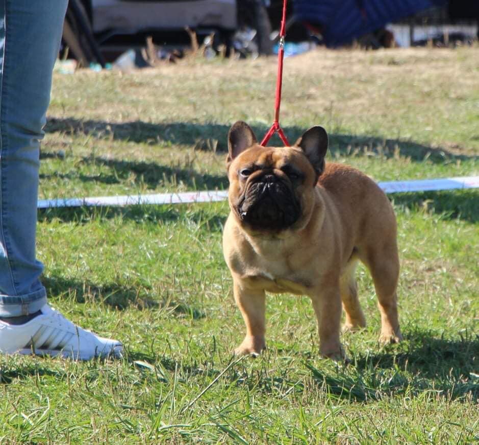 O'maley du Domaine des Bastidiens - 3e Excellent CO
