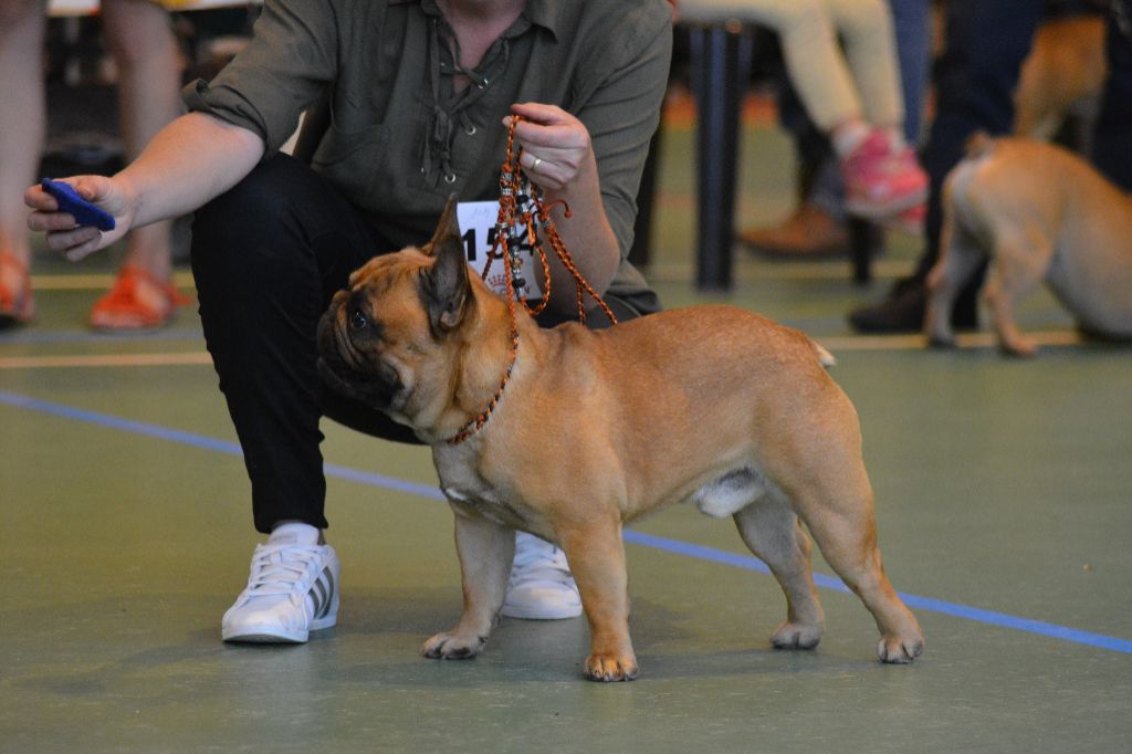 O'maley du Domaine des Bastidiens - Très Bon