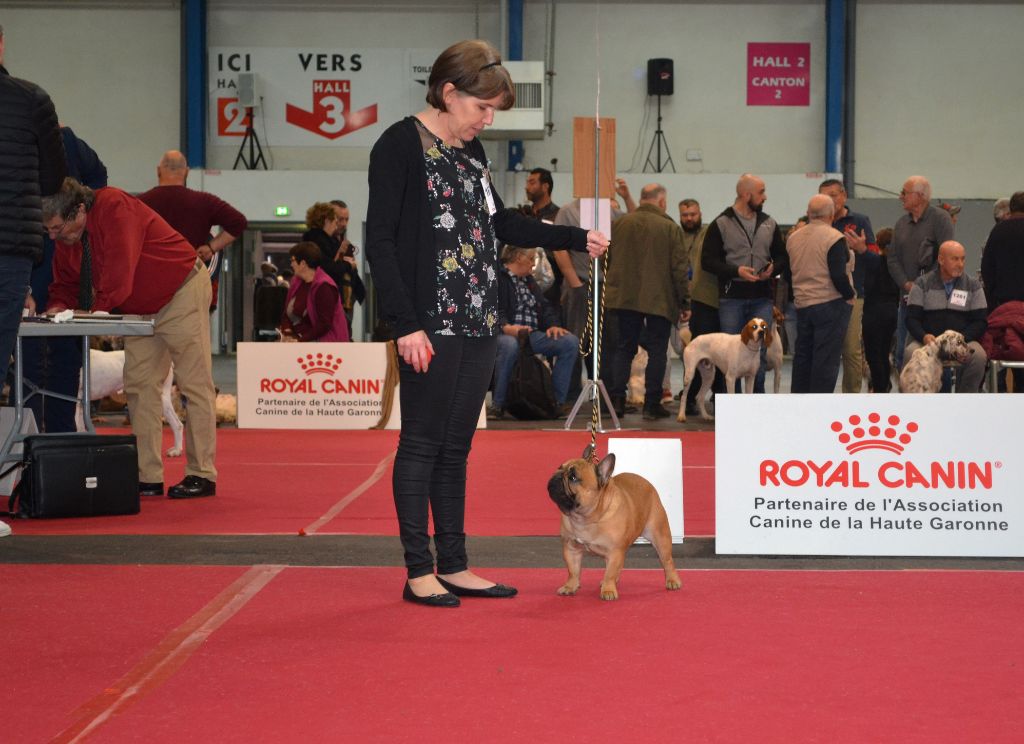 O'maley du Domaine des Bastidiens - 1er Excellent RCACS