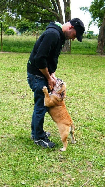 Publication : Lulayabull's Auteur : Aline Baurain