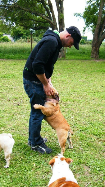 Publication : Lulayabull's Auteur : Aline Baurain