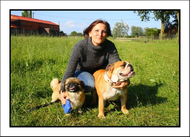 Publication : Lulayabull's Auteur : Aline Baurain