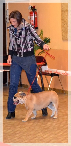 Publication : Lulayabull's Auteur : Aline Baurain