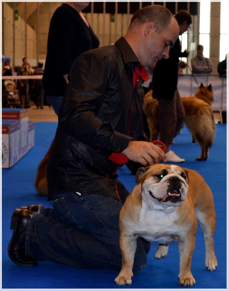 Down town suzie from the Living Daylights - 2ème Excellent