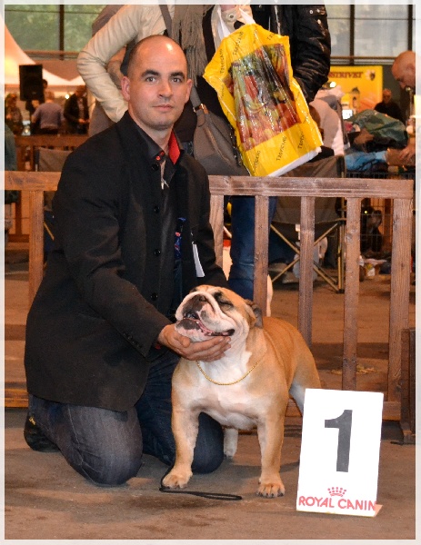 Down town suzie from the Living Daylights - 1er Excellent Réserve CACS