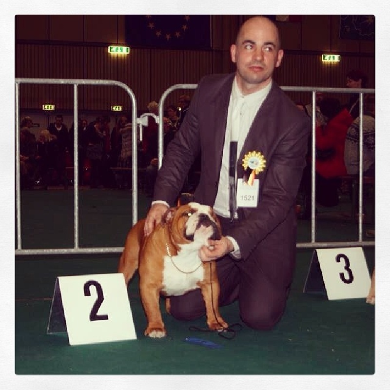 CH. Impressive Bull Luca memory - 2ème Excellent