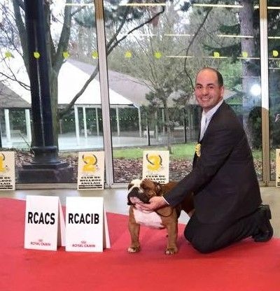 CH. Impressive Bull Luca memory - 1er Excellent - RCAC - RCACIB (classe ouverte)