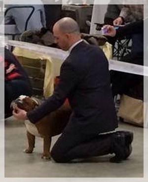 CH. Impressive Bull Luca memory - 1er Excellent - Best Jeune