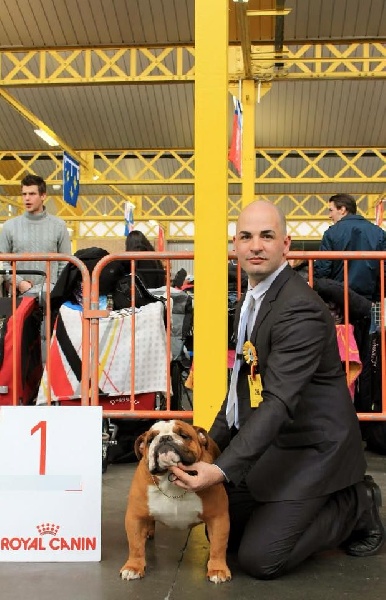 CH. Impressive Bull Luca memory - 1er excellent classe ouverte