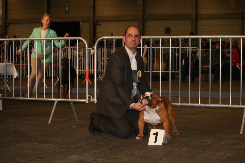 CH. Impressive Bull Luca memory - 1er Excellent (Classe jeune mâle)