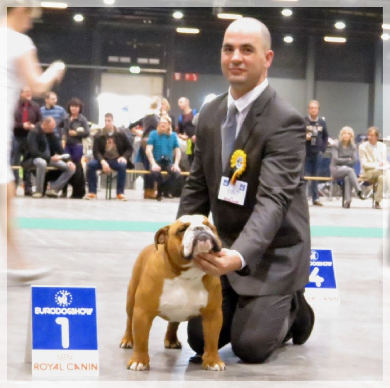 CH. Impressive Bull Luca memory - 1er Excellent - Best Jeune