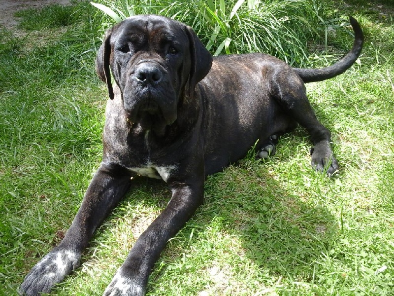 Publication : Des Couleurs Maloya