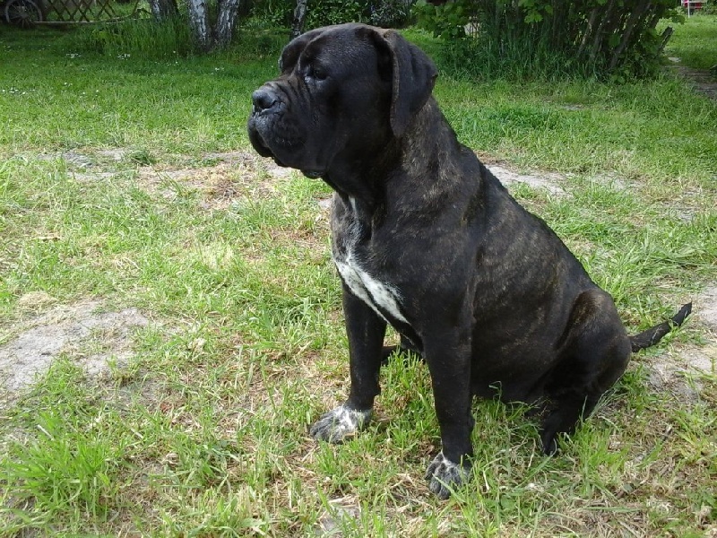 Publication : Des Couleurs Maloya