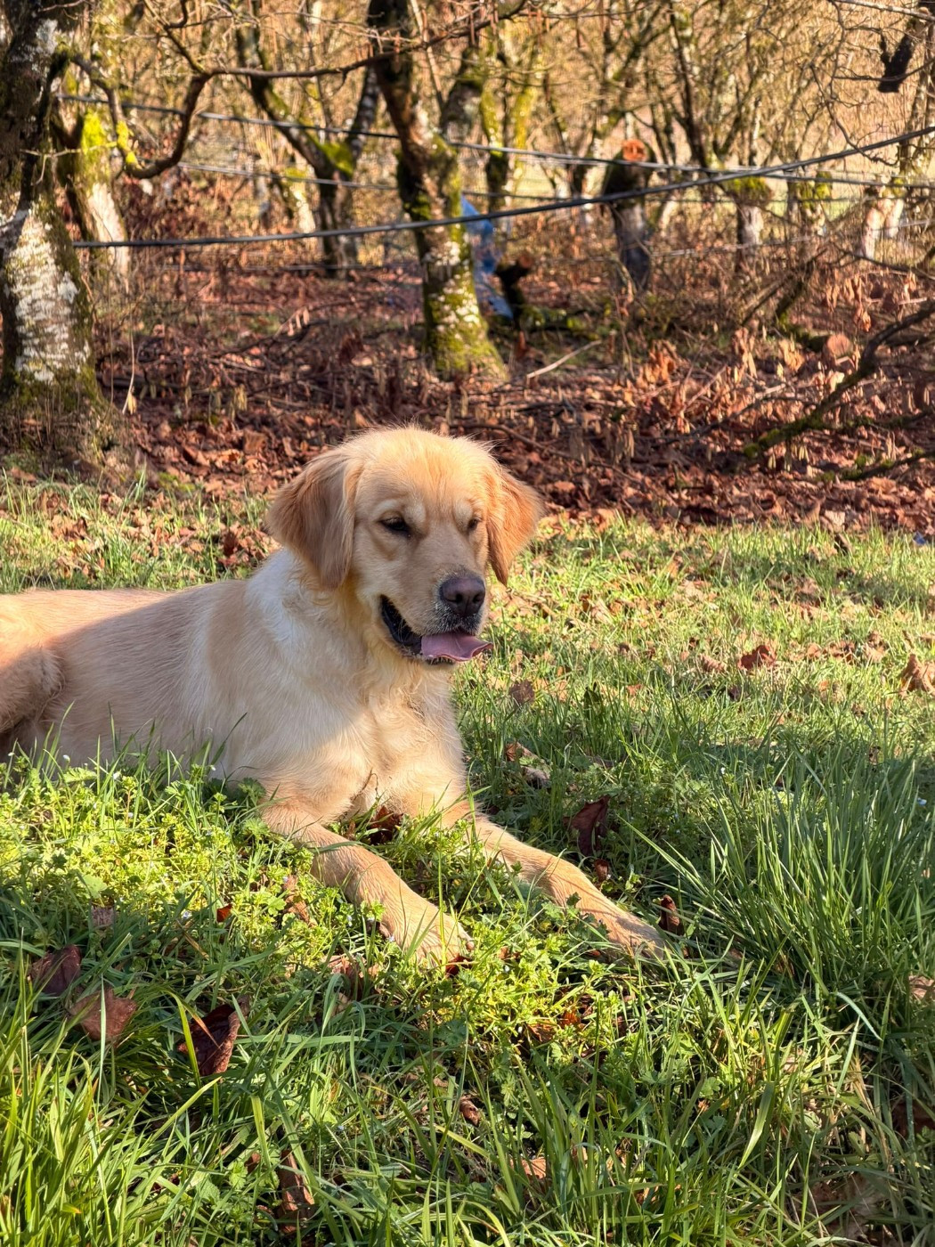 Publication : Du Clos De Compostelle