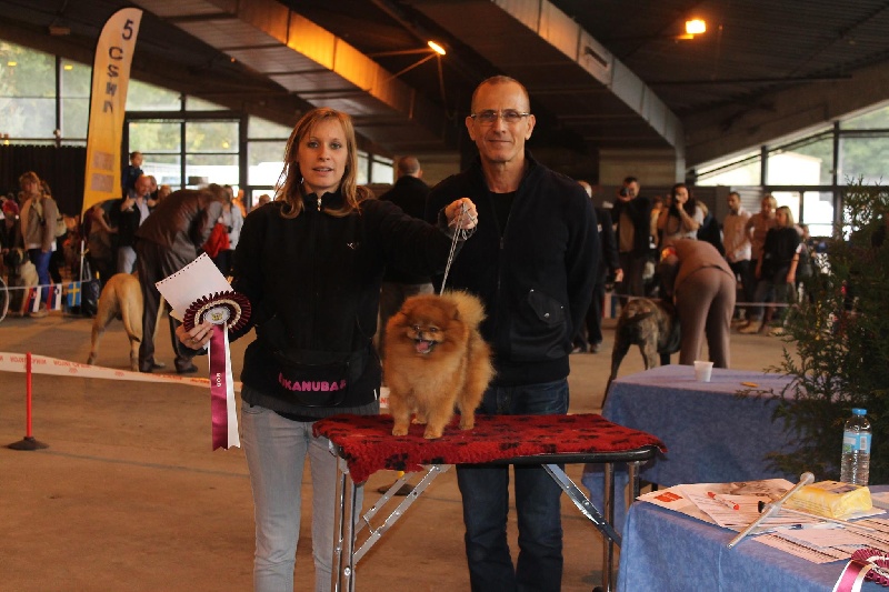 Hantoine De Djerambar - 1 ER EXCELLENT CACS MEILLEUR DE RACE