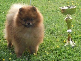 Hantoine De Djerambar - 2 eme excellent RCACS